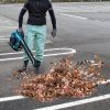 MAKITA Puhallin LXT. Kuvassa henkilö puhaltamassa puun lehtiä parkkipaikalla Puhallin LXT:n avulla.