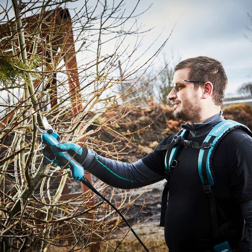 MAKITA Oksaleikkuri LXT. Kuvassa henkilö leikkaamassa puun oksia Oksaleikkuri LXT:n avulla.