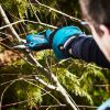 MAKITA Oksaleikkuri LXT. Kuvassa henkilö leikkaamassa puun oksia Oksaleikkuri LXT:n avulla.