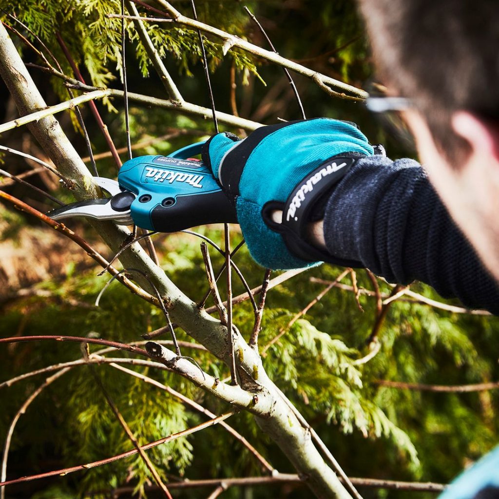 MAKITA Oksaleikkuri LXT. Kuvassa henkilö leikkaamassa puun oksia Oksaleikkuri LXT:n avulla.