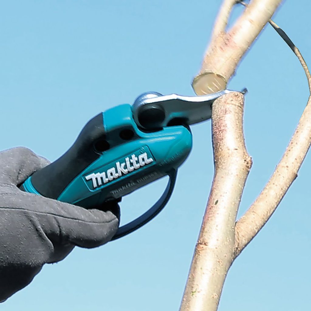 MAKITA Oksaleikkuri LXT. Kuvassa leikataan puun oksia Oksaleikkuri LXT:n avulla.
