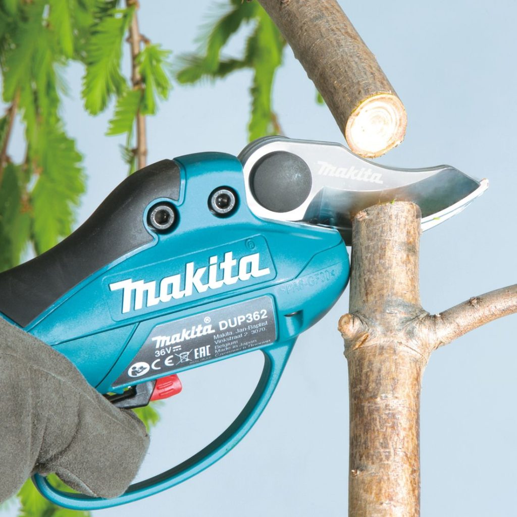 MAKITA Oksaleikkuri LXT. Kuvassa leikataan puun oksia Oksaleikkuri LXT:n avulla.