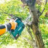 MAKITA Ketjusaha XGT. Kuvassa henkilö sahaamassa puun oksaa Ketjusaha XGT:n avulla.