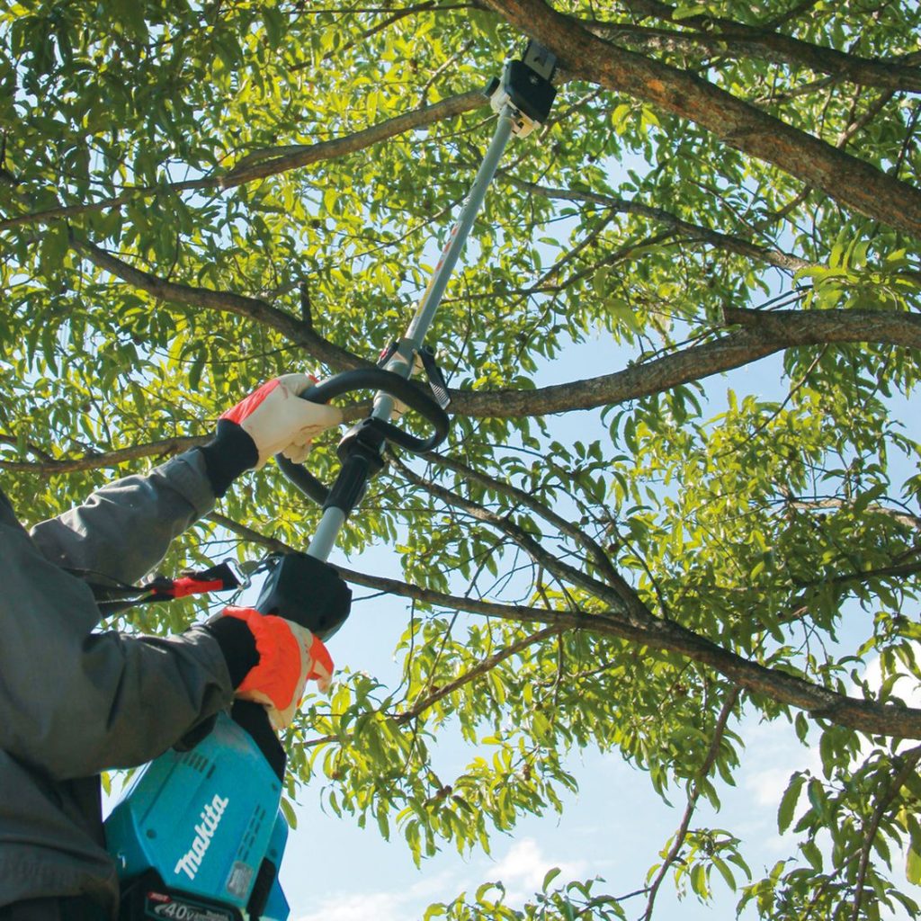 MAKITA Puutarhan monitoimikone XGT. Lähikuvassa henkilö katkaisemassa oksaa puusta Puutarhan monitoimikone XGT:n avulla.