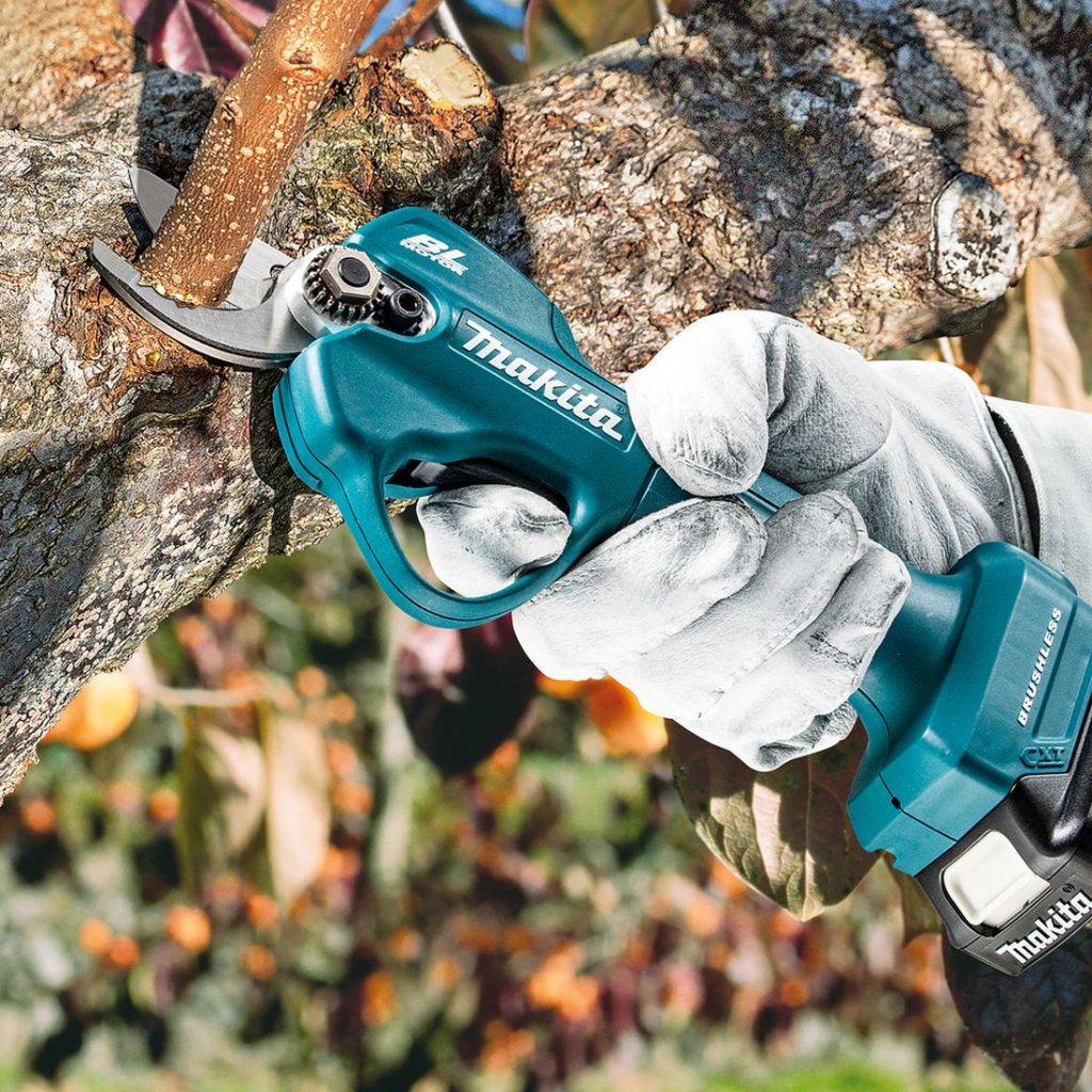 MAKITA Oksasakset CXT. Kuvassa henkilö katkaisemassa puun oksaa Oksasakset CXT:n avulla.